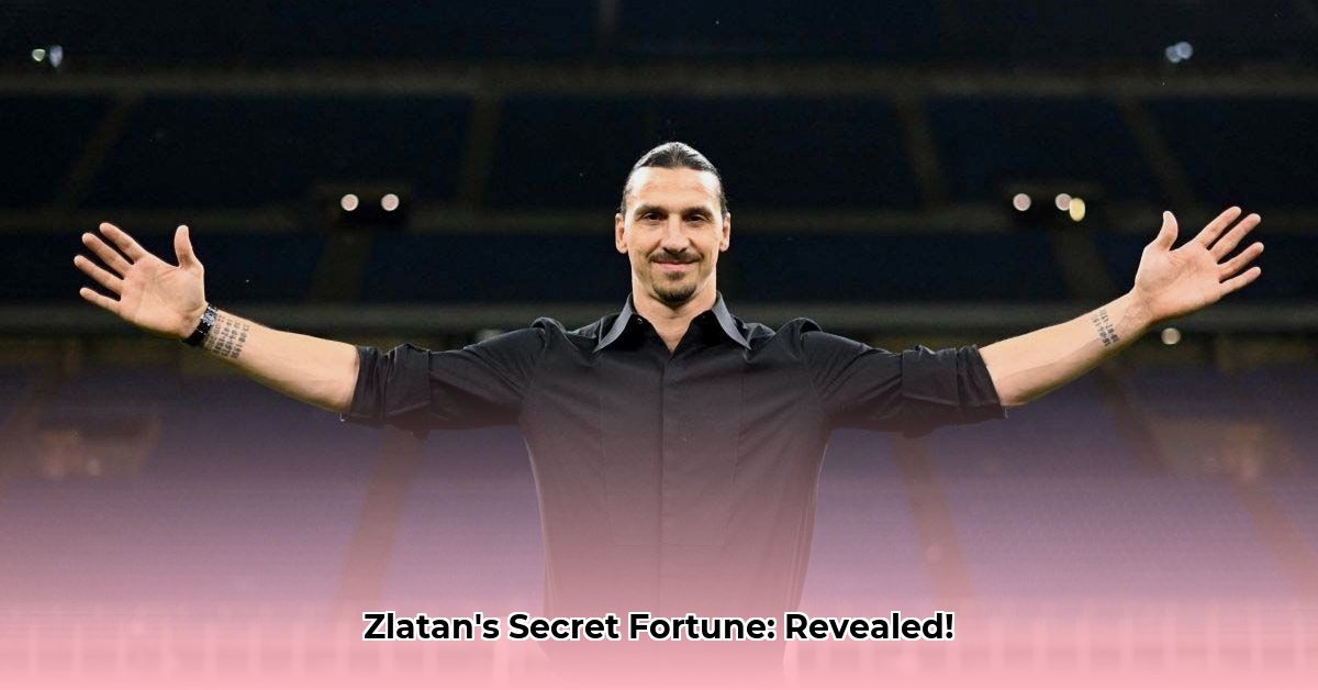 zlatan-ibrahimovic-net-worth
